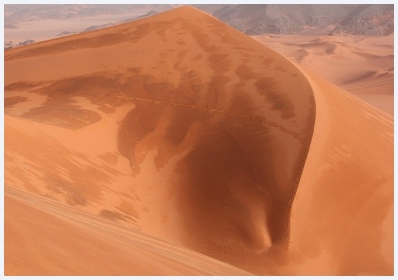 le Sahara algérien