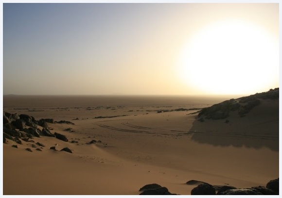 Sunset and desert tracks in the Sahara