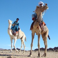 Essendeilene by Camel with Expert Algeria travel agency