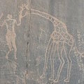 Giraffe rock engraving, southern Algeria