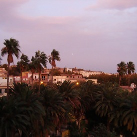 Tlemcen Islamic Capital of Culture