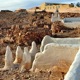The desert town of Ghardaia in the Algerian Sahara